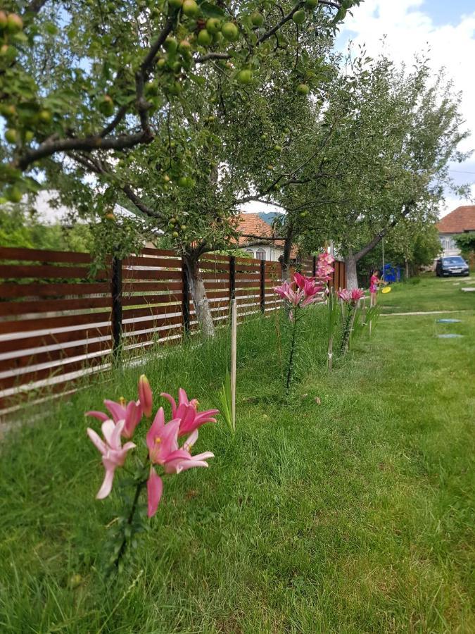 Готель Viata La Tara Cerna Cerna  Екстер'єр фото